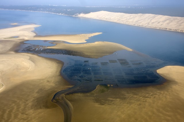 bx-huitres-arcachon-Lemaire