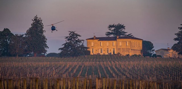 Vignes-gel-2-lemaire-vin-rouge-chine