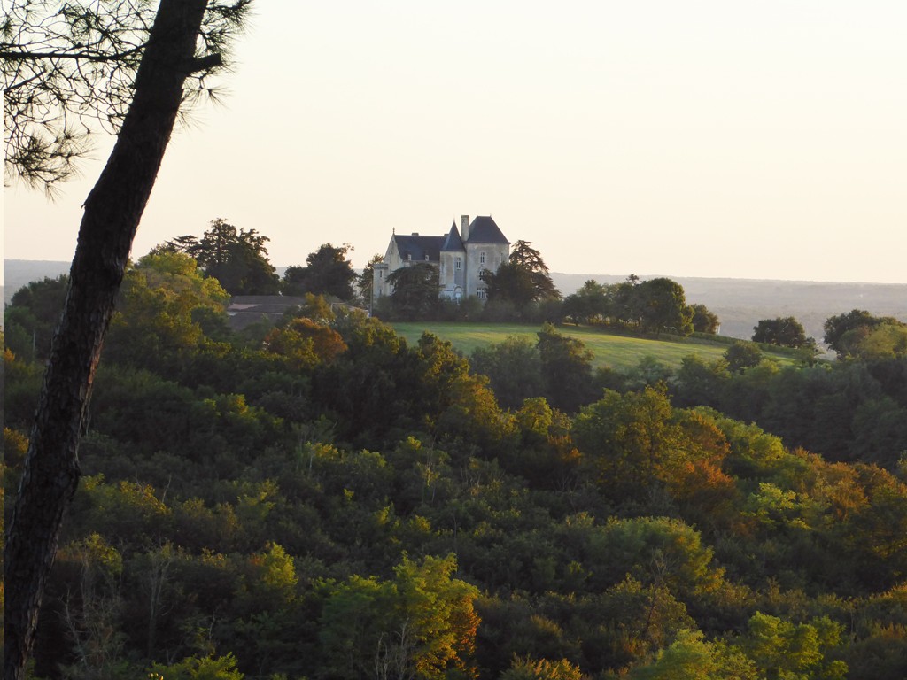 Fauchey-vignes-lemaire-hebdo-vin-chine