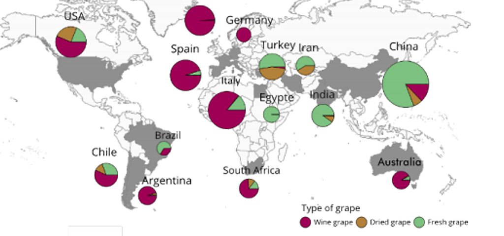 Carte-production-vin-lemaire-hebdo-vin-chine