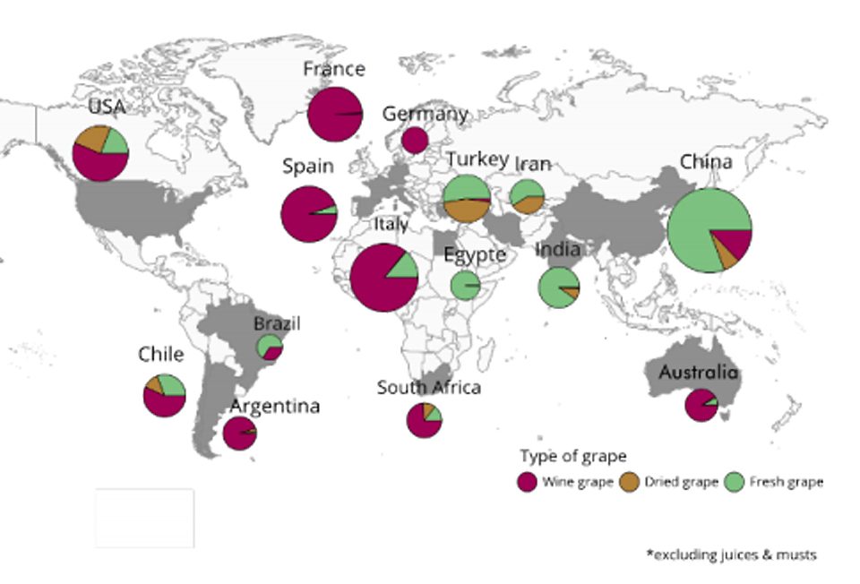 Carte-production-vin-lemaire-hebdo-vin-chine