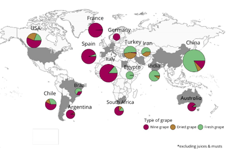 Carte-production-vin-lemaire-hebdo-vin-chine