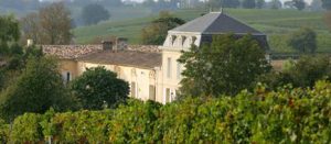 richelieu-vignes-chateau-lemaire-hebdo-vin-chine