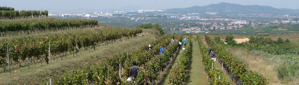 lafite-penglai-lemaire-hebdo-vin-chine