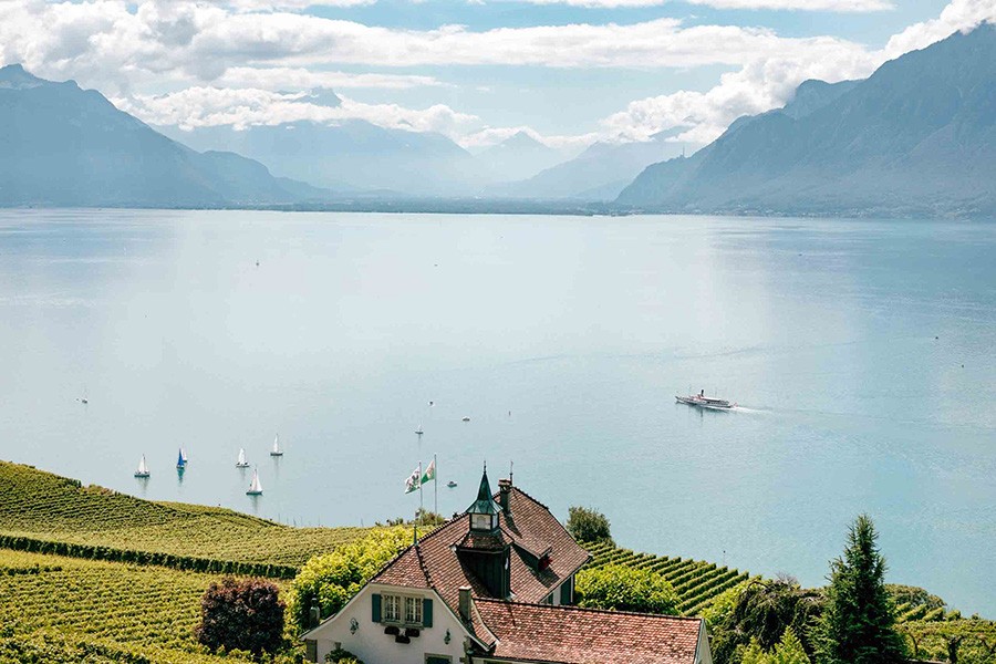 concours-mondial-Bruxelles-suisse-2019-lemaire-hebdo-vin-chine