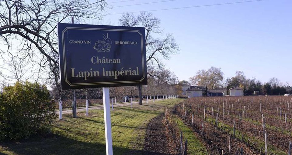 larteau-lapin-imperial-hebdo-vin-chine-lemaire