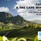 great-wine-capitals-cape-town-lemaire-hebdo-vin-chine