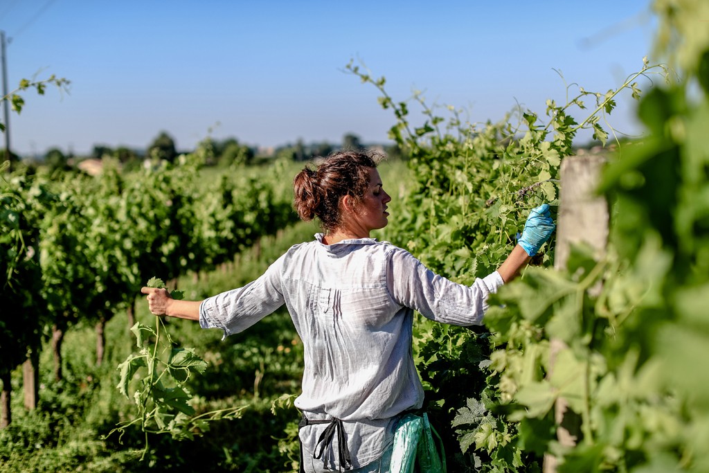 Belles-Gueules-Bordeaux-Eugénie-Degas-lemaire-hebdo-vin-chine