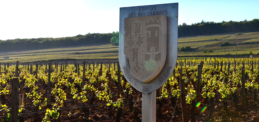 hospices-beaune-vin-vigne-lemaire-hebdo-chine