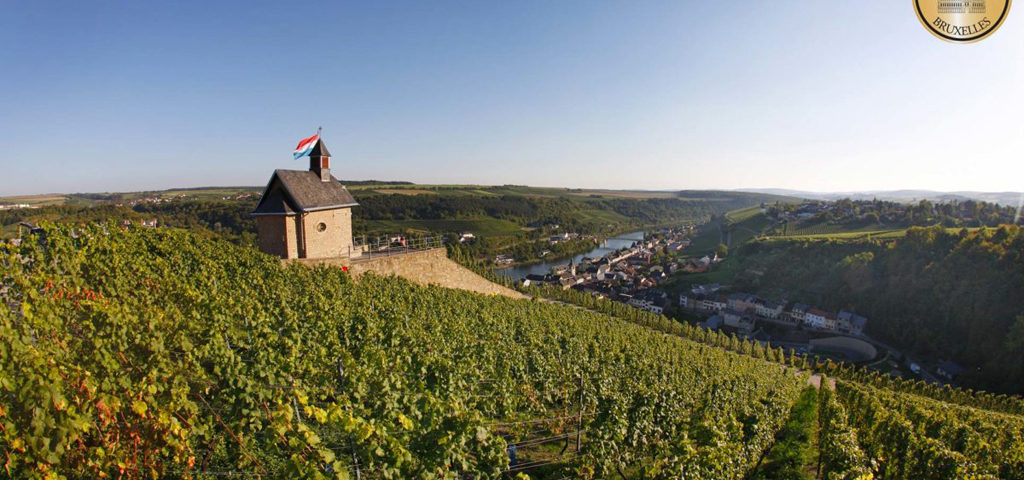 Luxembourg-vignes-concours-bruxelles-lemaire-hebdo-vin-chine