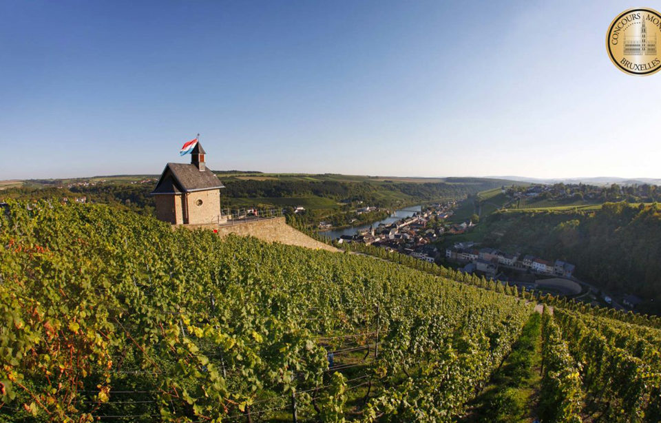 Luxembourg-vignes-concours-bruxelles-lemaire-hebdo-vin-chine