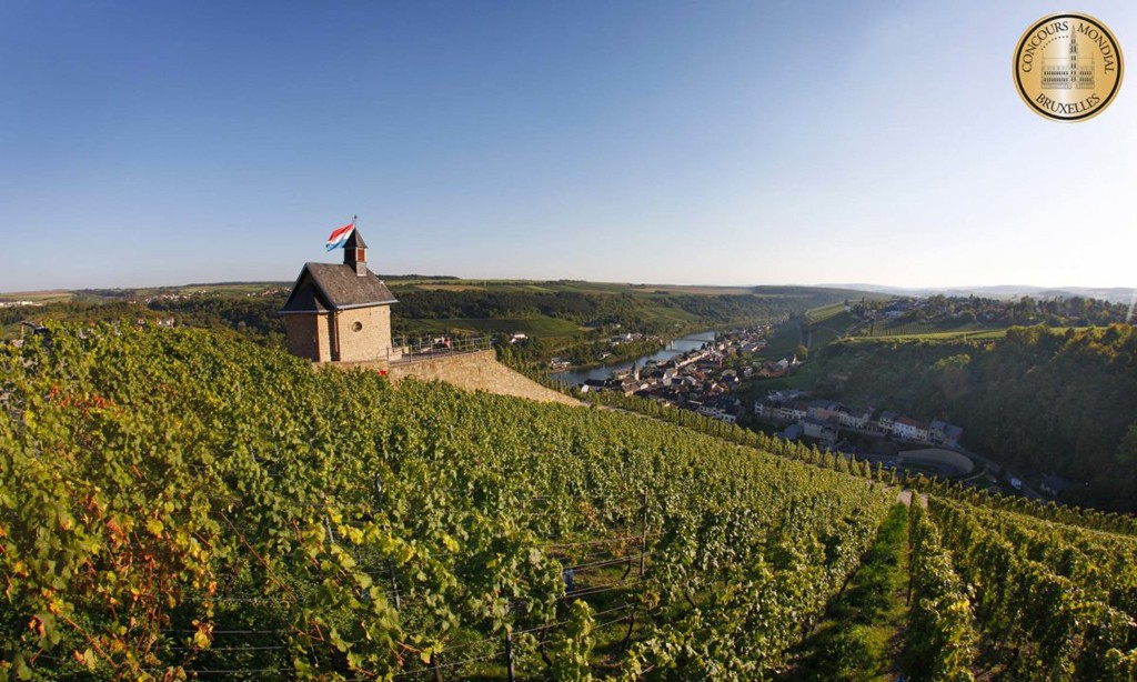 Luxembourg-vignes-concours-bruxelles-lemaire-hebdo-vin-chine